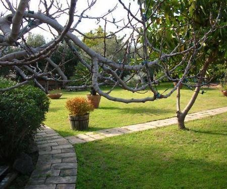 Villa Chiarenza Maison D'Hotes Giardini-Naxos Buitenkant foto